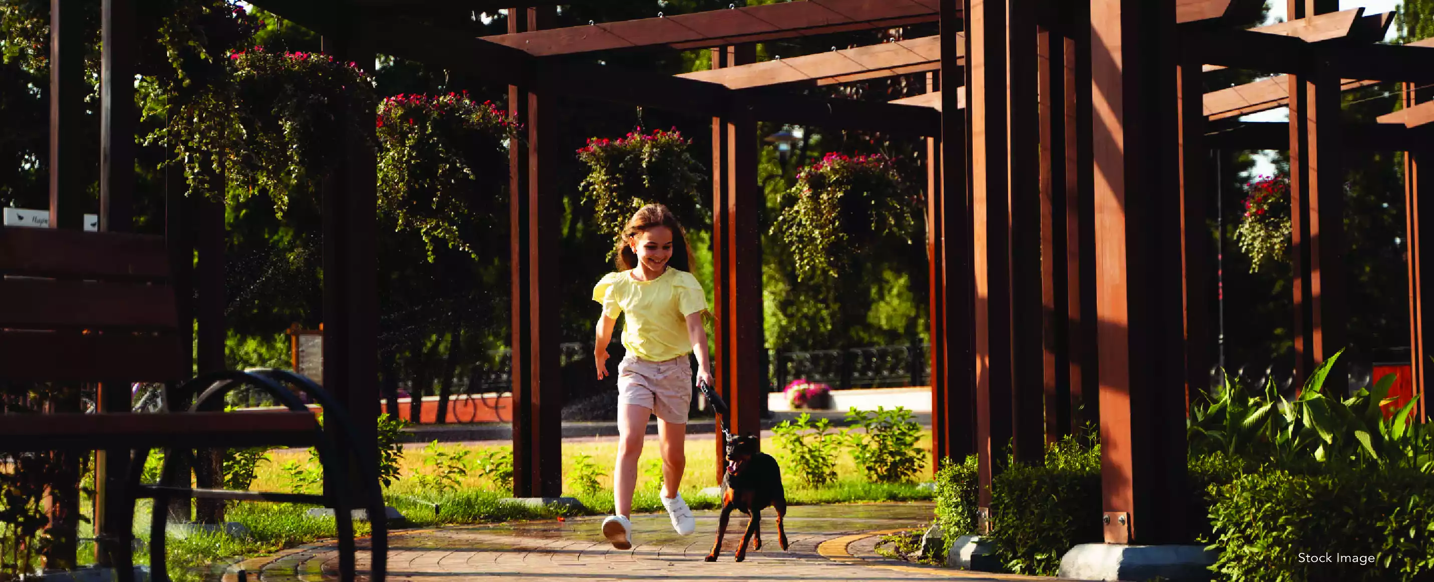 Pet Park